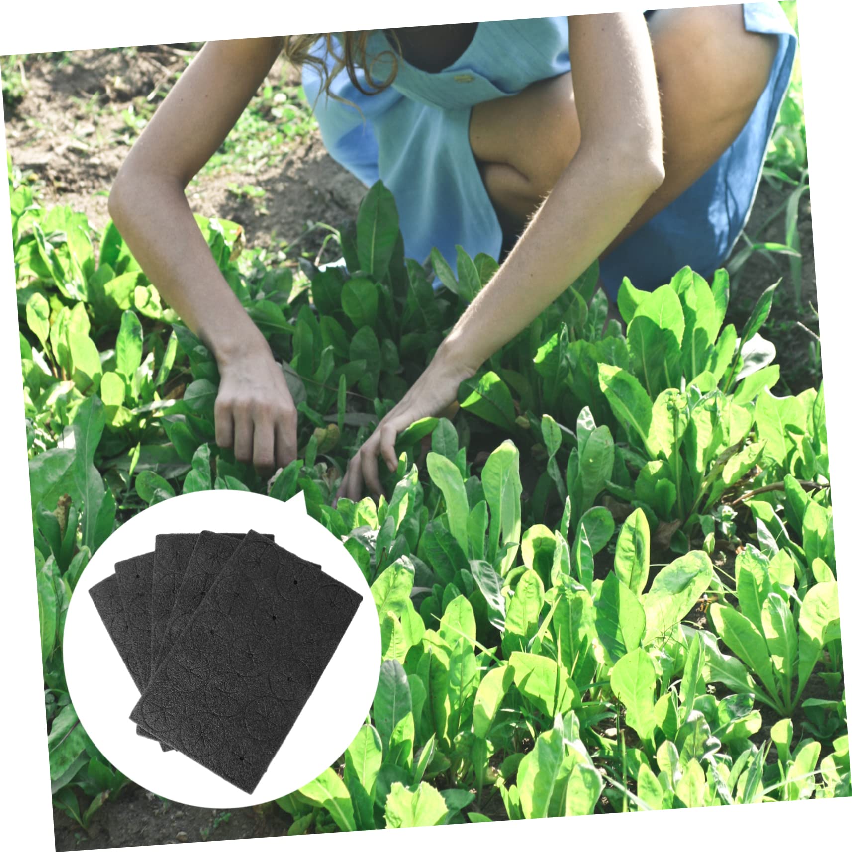 ifundom 2 Series Esponjas Hidropónicas Vegetal De Jardinería Sin Herramienta Conveniente 75 Piezas*2