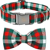 Vista 23 de Elegant little tail - Collar de otoño para mascotas con corbatín, lindo collar de Halloween con estampado de flores y calabaza para cachorros