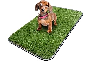 Ottomanson Indoor Dog Potty Training Pad for Small Pets