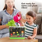 Root Viewer Kit for Kids - Grow Your Own Plant Garden for Boys & Girls - Science STEM Toy & Craft Growing Kits for Ages 4-8 Birthday Gifts for Boy, Girls 4, 5, 6, 7, 8, Year Old - Gardening Set Toys