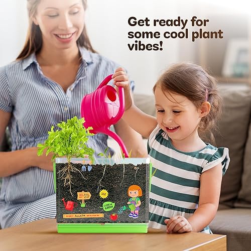Miniatura 6 de Kit de visor de raíces para niños  Cultiva tu propia planta para niños y niñas  Juguetes de ciencia STEM y kits de cultivo de manualidades para
