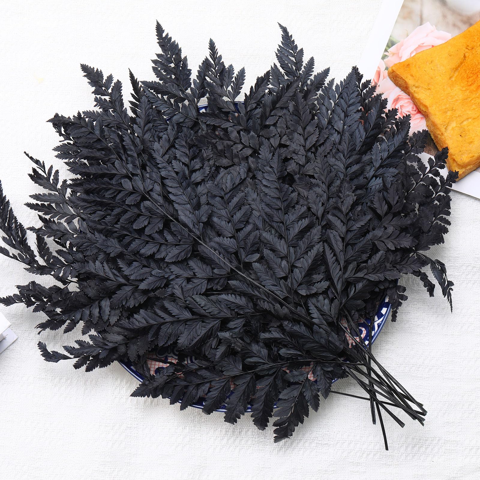 Amazon.com: Fern Preserved Black Ferns, 10 PCS Dried Boston Fern with ...