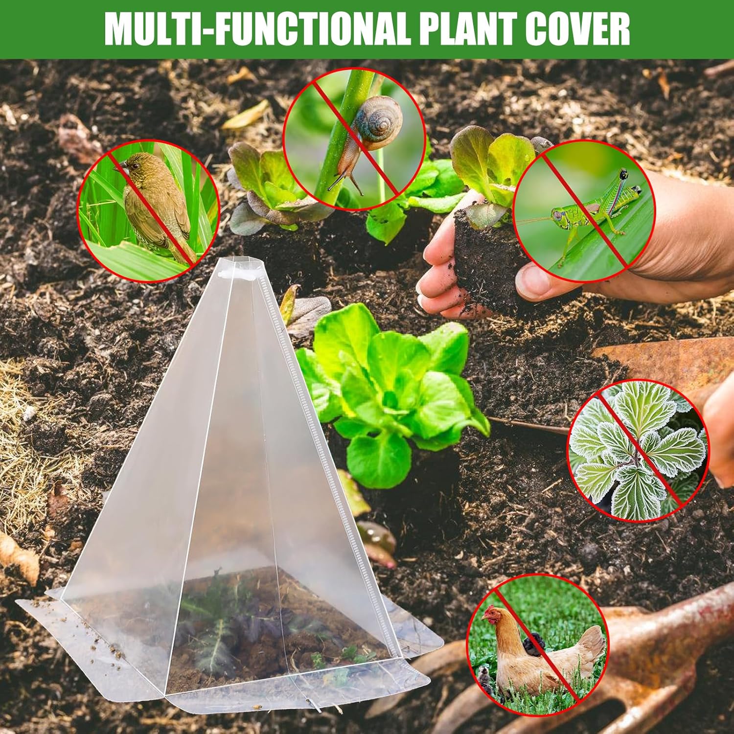 Clear Plant Protectors Form Small Greenhouses Shield Seedling from Harsh Weather Garden Cloche Set Multifunctional Garden Protectors