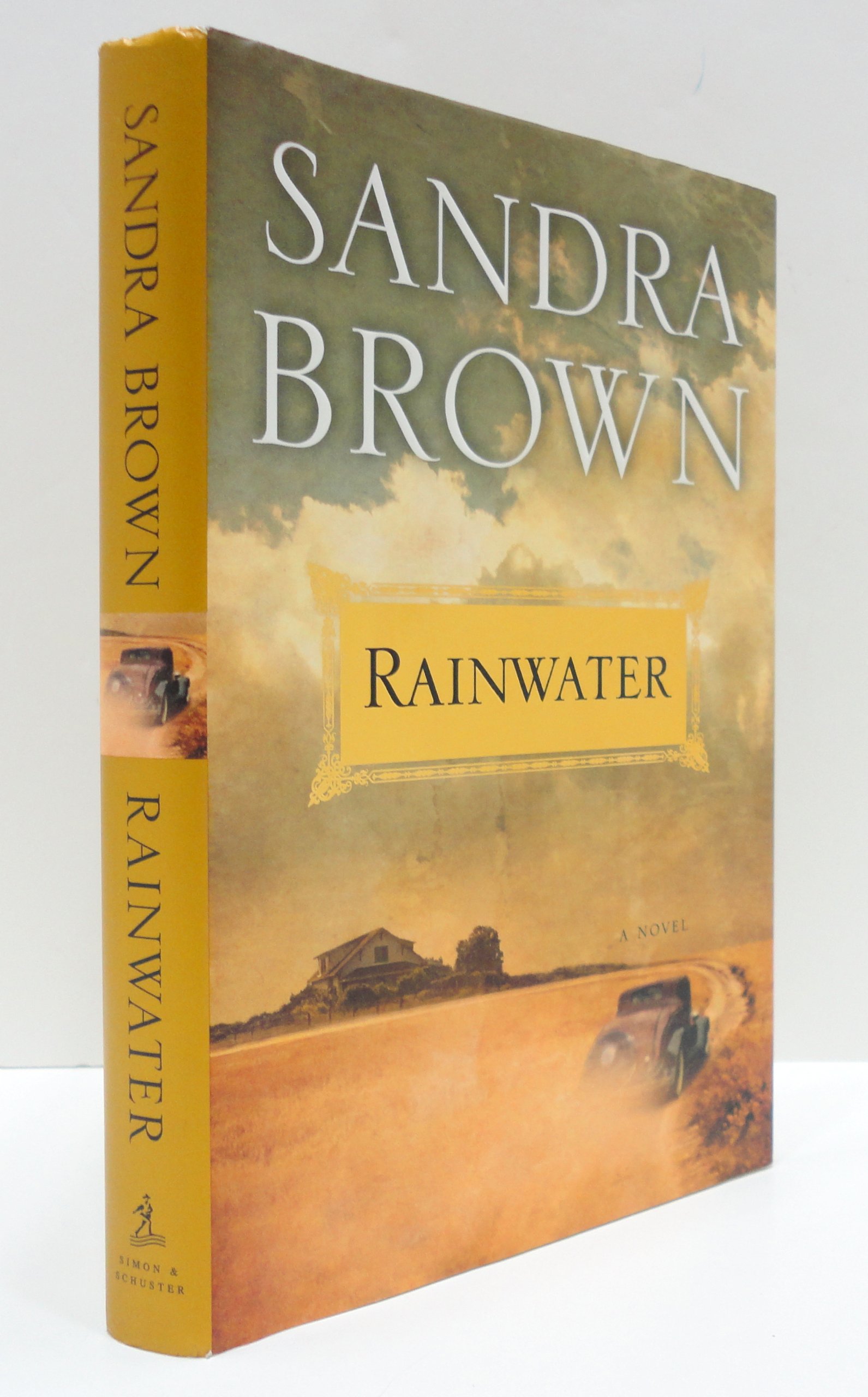 Cover of Rainwater