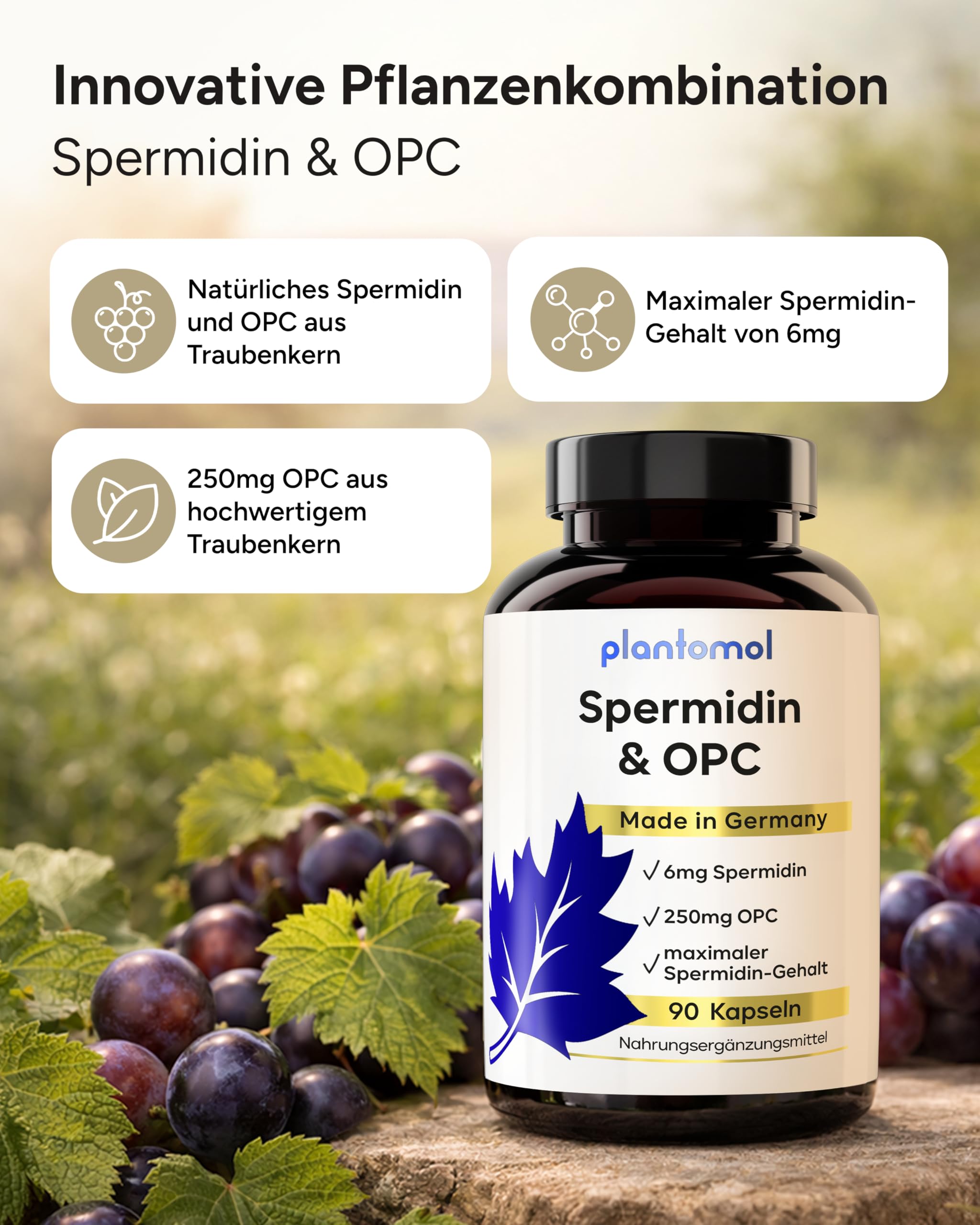 Spermidin Kapseln hochdosiert optimiert mit OPC Traubenkern-Extrakt und Spermidin 6mg - einzigartige Kombination aus Spermidine & OPC Kapseln - 3 Monatsvorrat