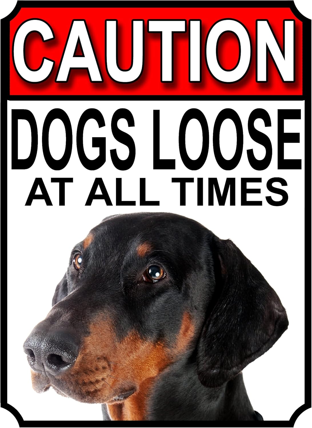 Shawprint Limited CAUTION DOGS LOOSE AT ALL TIMES METAL GATE SIGN DOBERMAN PINSCHER 200MM X 150MM (1192H1)
