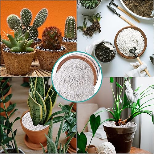 Miniatura 6 de Legigo 6 cuartos de galón de perlita hortícola orgánica para plantas de interior - Acondicionador natural para suelos hortícolas para mejorar