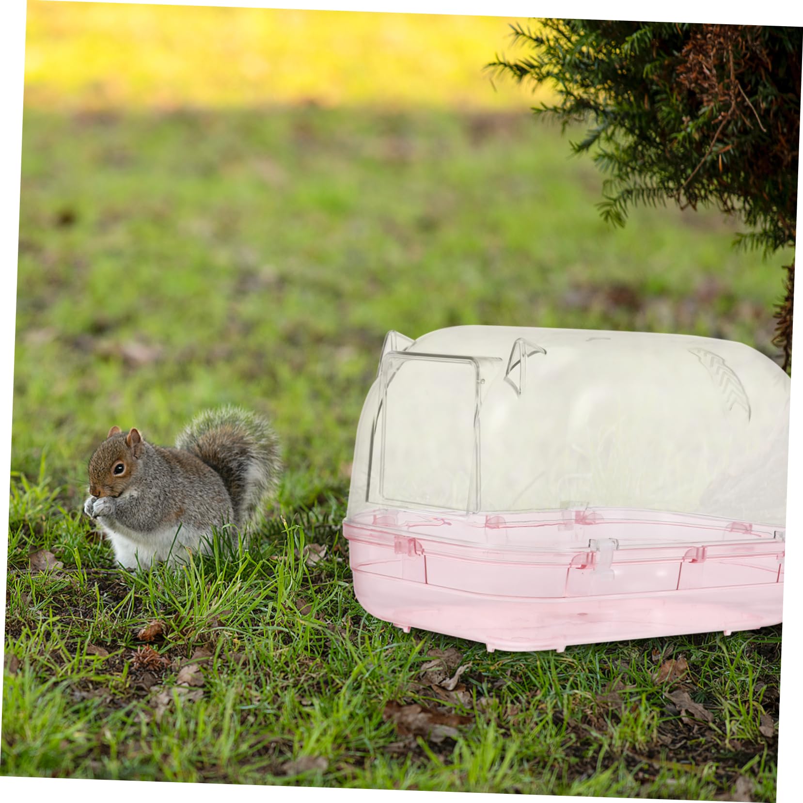 Hamster Sandbadbehälter aus Kunststoff, Große Badewanne