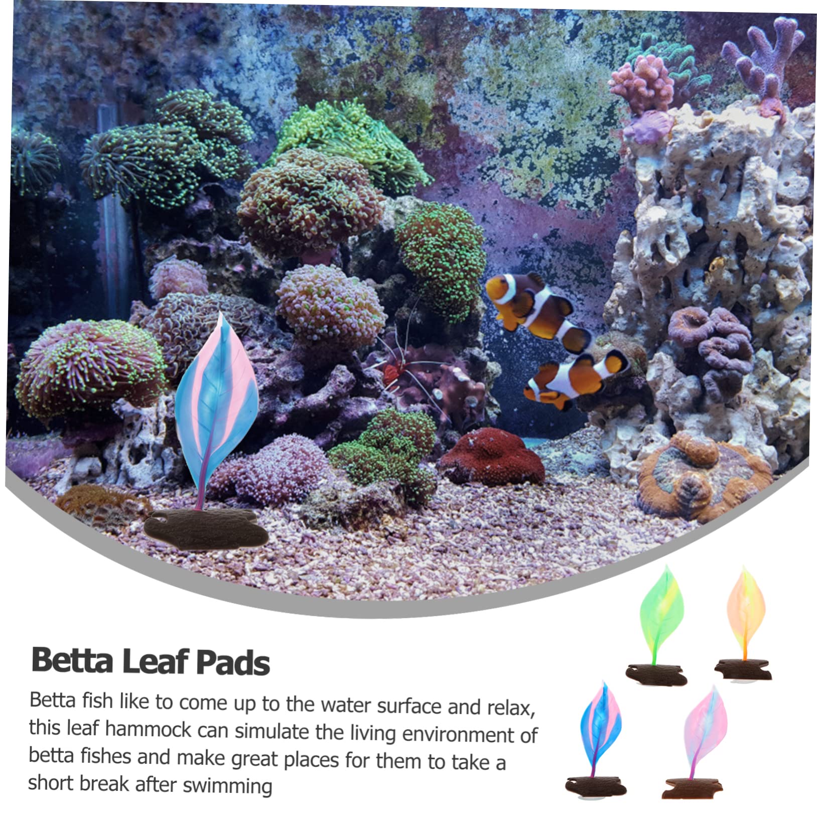 Yardwe 12stücke Betta Fisch Ruheblatt Aus Für Zucht Und Spielbereiche Im Aquarium Mit Saugnäpfen Zur Einfachen Bunten Farben