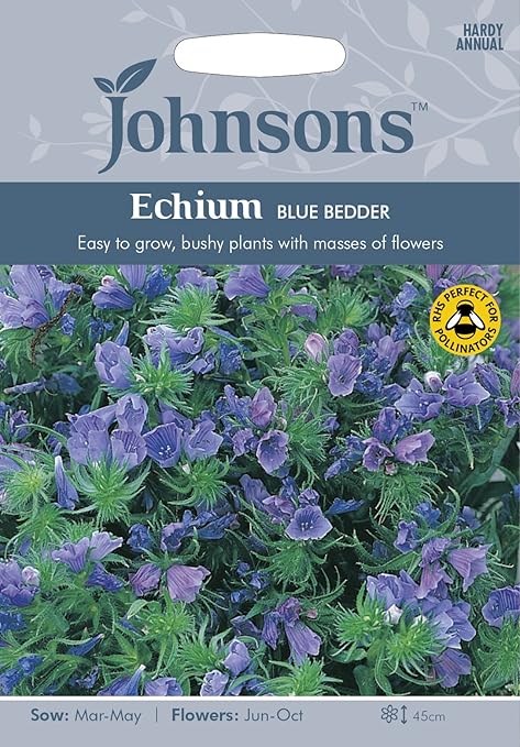 Amazon Johnsons Seeds Echium Blue Bedder エキウム ブルー ベッダー ジョンソンズシード Diy 工具 ガーデン