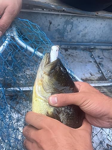 Miniatura 8 de Señuelos de pesca de lubina mezclados incluyendo poppers, plantillas con ganchos, gusanos de plástico, colas de pala, crankbait para lucios de agua