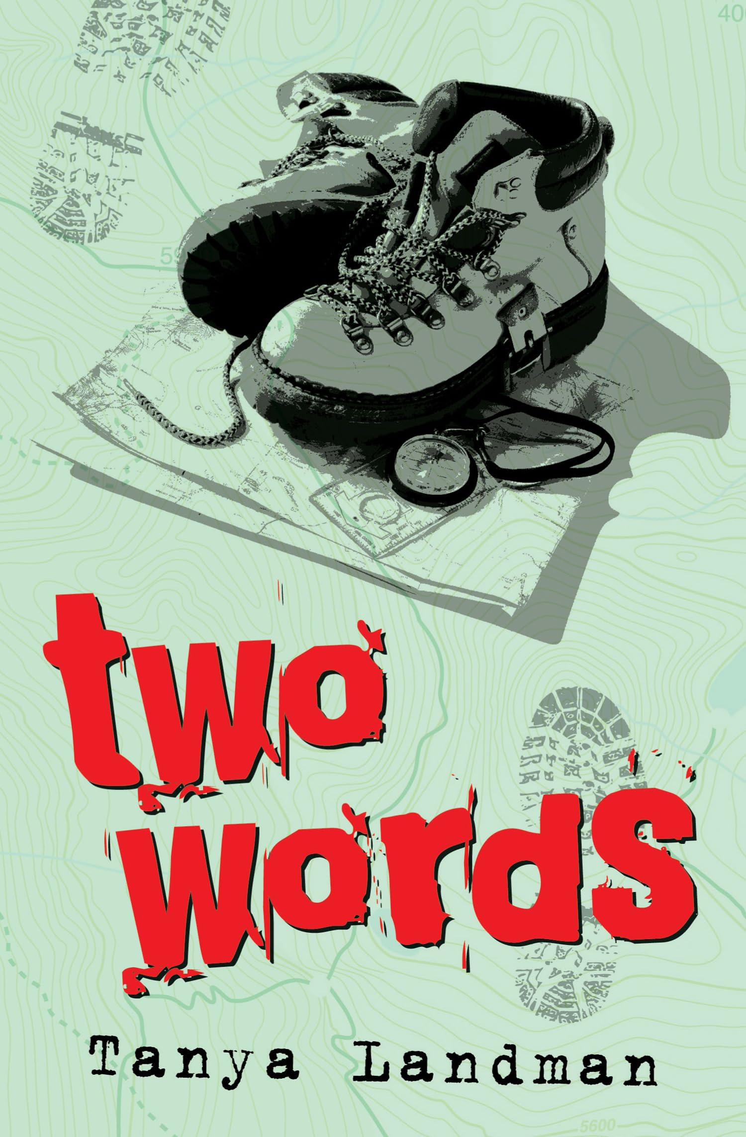 Two Words: (Dyslexia-friendly) (gr8reads)