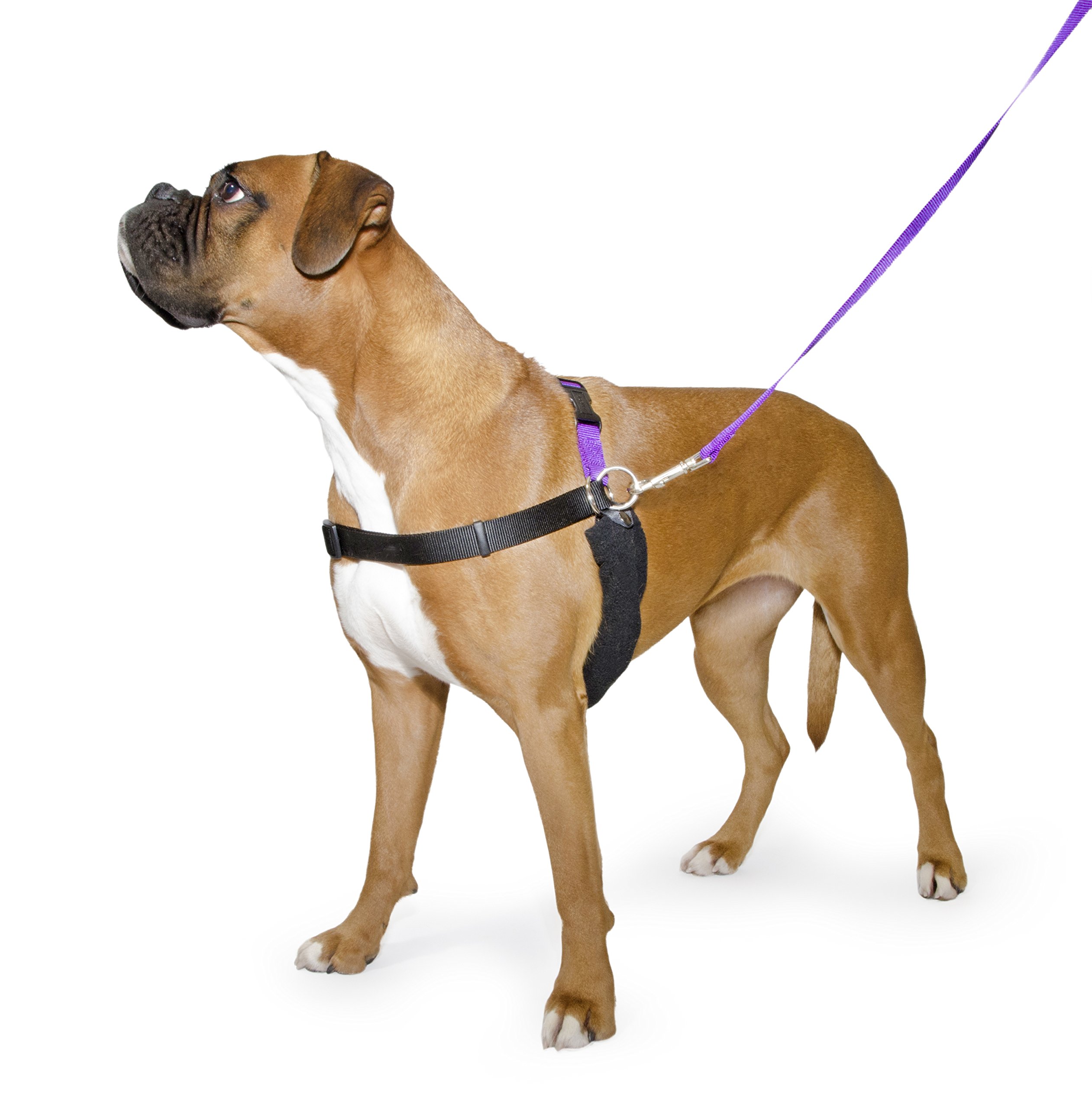 Ancol Pure Dog Listeners Training Harness and Lead Set (Extra Large, Multicolor)