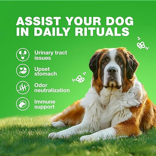 Vista 5 de Masticables para Manchas de Quemaduras de Hierba para Perros - Neutralizador de Orina para Césped - Protector de Manchas de Césped por Orina