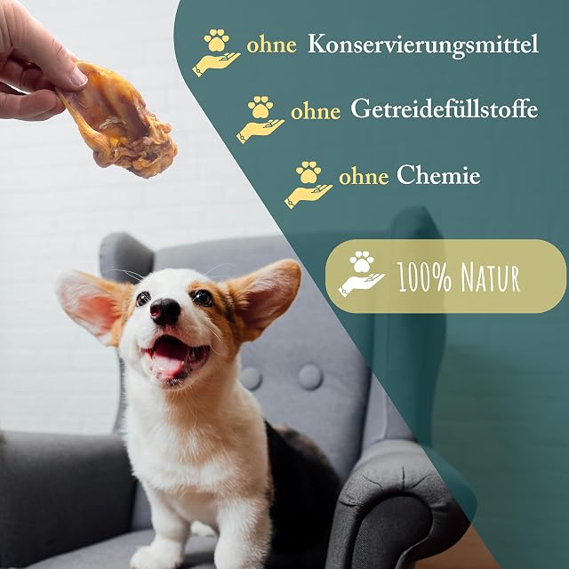 Foto 4 de 8 de Conchas de cerdo secas para perros, 1 kg, 100% cerdo, masticables, comida para perros, barf
