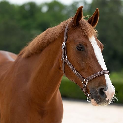 Miniatura 5 de HORZE Warren Caballo Caballo de Cuero Genuino Ajustable Suave  Herrajes de Acero Inoxidable - Marrón Claro - Cob