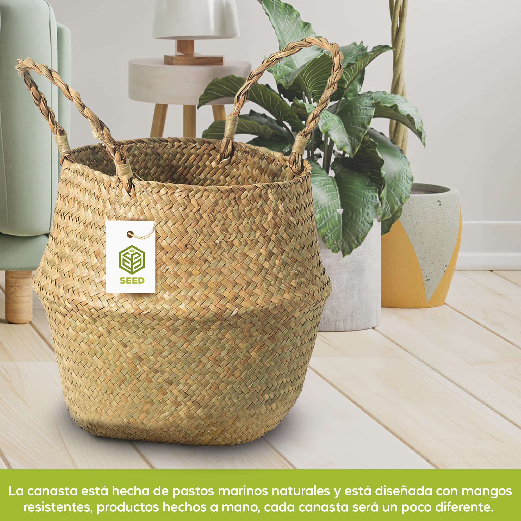 SEED Cesta de Mimbre para Plantas – Tejida a Mano con Mimbre Natural – Aporta Orden y Calidez – Ideal como Cubremacetas Decorativo Interior y Almacenaje – Incluye Semillas de Regalo (Tamaño M)
