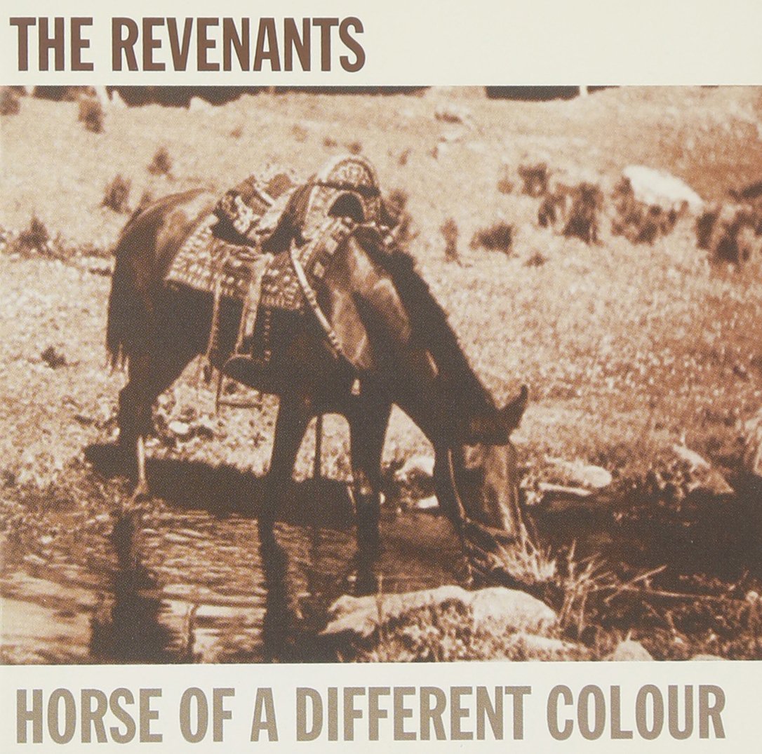 Horse Of A Different Colour