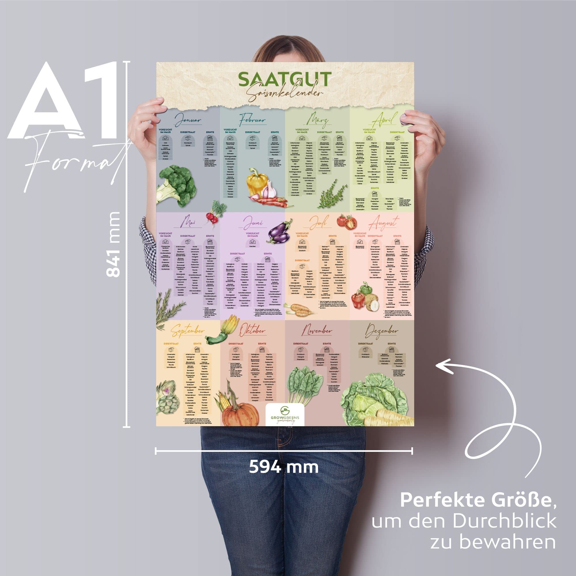 Progettazione Del Pianificatore Di 2017 Calendari Calendario Mensile Della Parete Per L Anno 79035024 - Foto 13