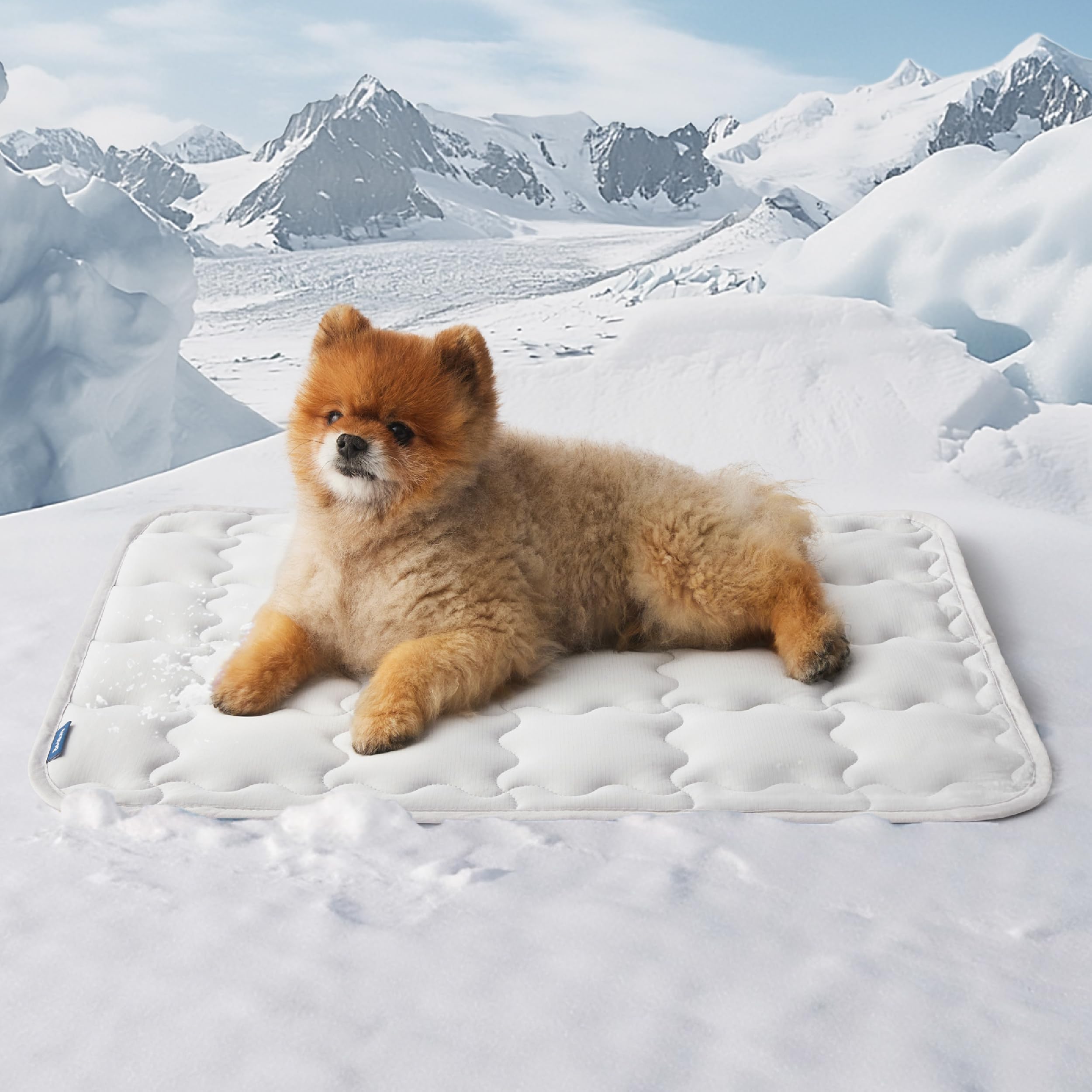 Bedsure Cooling Mat for Small Dogs – 24x18 Thin Washable Cooling Pet Pad for Cat, QMAX>0.5, Portable Kennel Puppy Bed for Summer, Non-Slip Summer