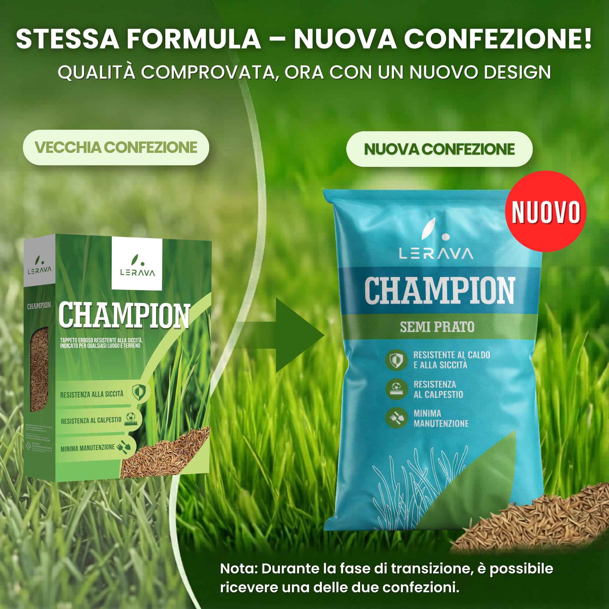 LERAVA CHAMPION semi prato 30m² festuca arundinacea resistente siccità alte temperature prato verde scuro fine
