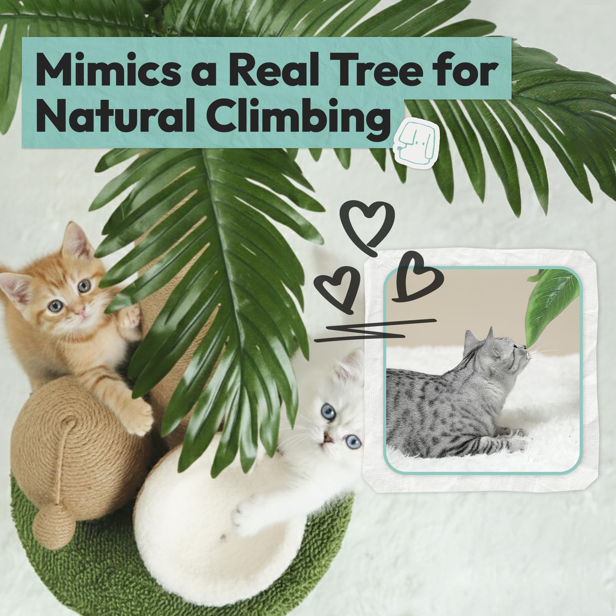 Kratzbaum für Katzen 74 cm, Palmenform mit Hängespielbällen und doppelten Kokos-Spielzeugen, Kratzsäule für Wohnungskätzchen, extra Stabiler Standfuß, pfotenfreundliches Jutematerial