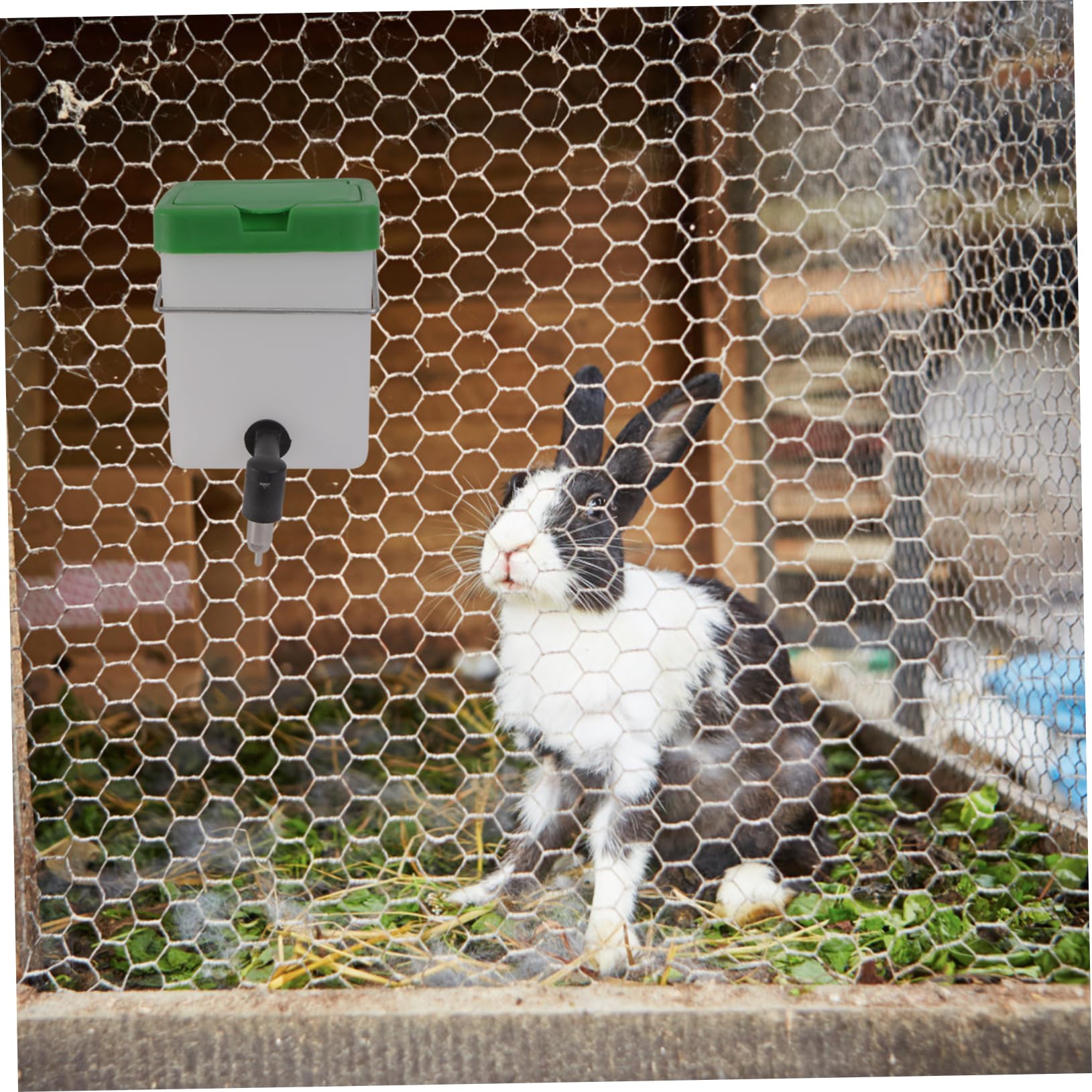 INOOMP 3pezzi Distributore Automatico Per Conigli Bottiglia Per Animali Domestici Facile Da Installare e Pratica Adatta Per Ciotole e Box Per Del Coperchio