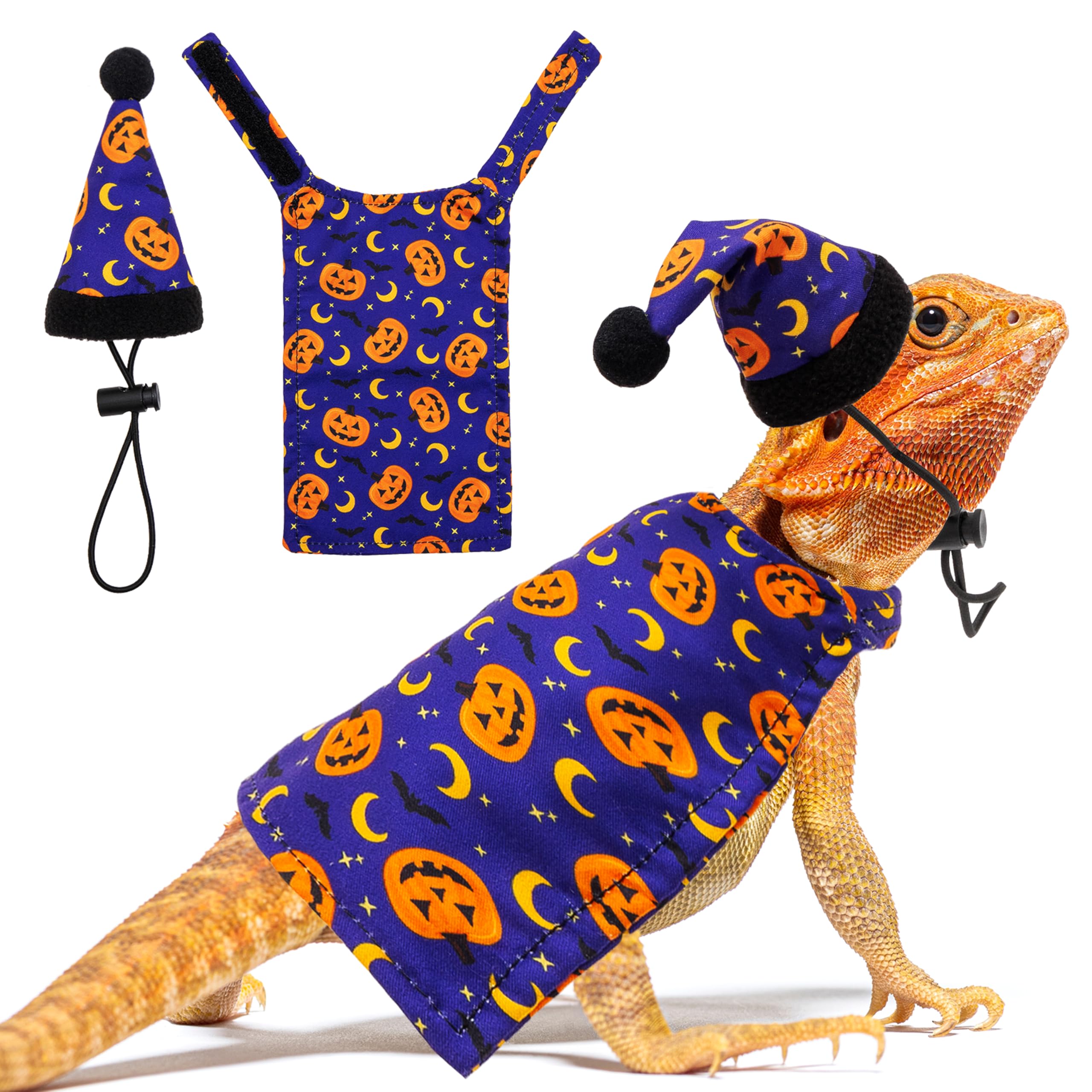 TUKOAW Halloween Bearded Dragon Costume, Cute ...