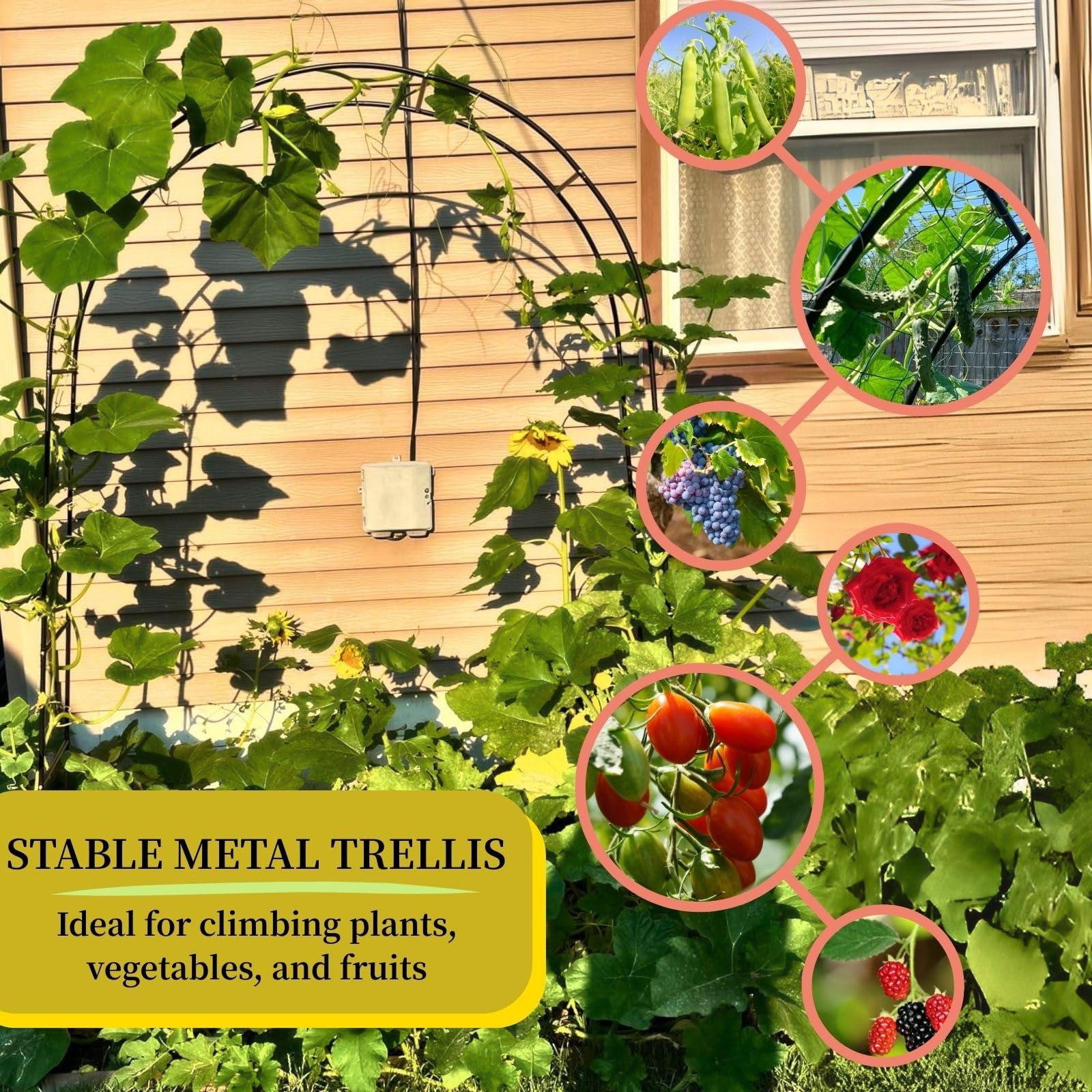 Arcos metálicos Resistentes para Rosas de jardín - Pérgola de Acero Duradera para Plantas trepadoras, hortalizas y Rosas - Enrejado Exterior, Opciones de Ancho de 2 m a 3,5 m (Negro, 120 cm
