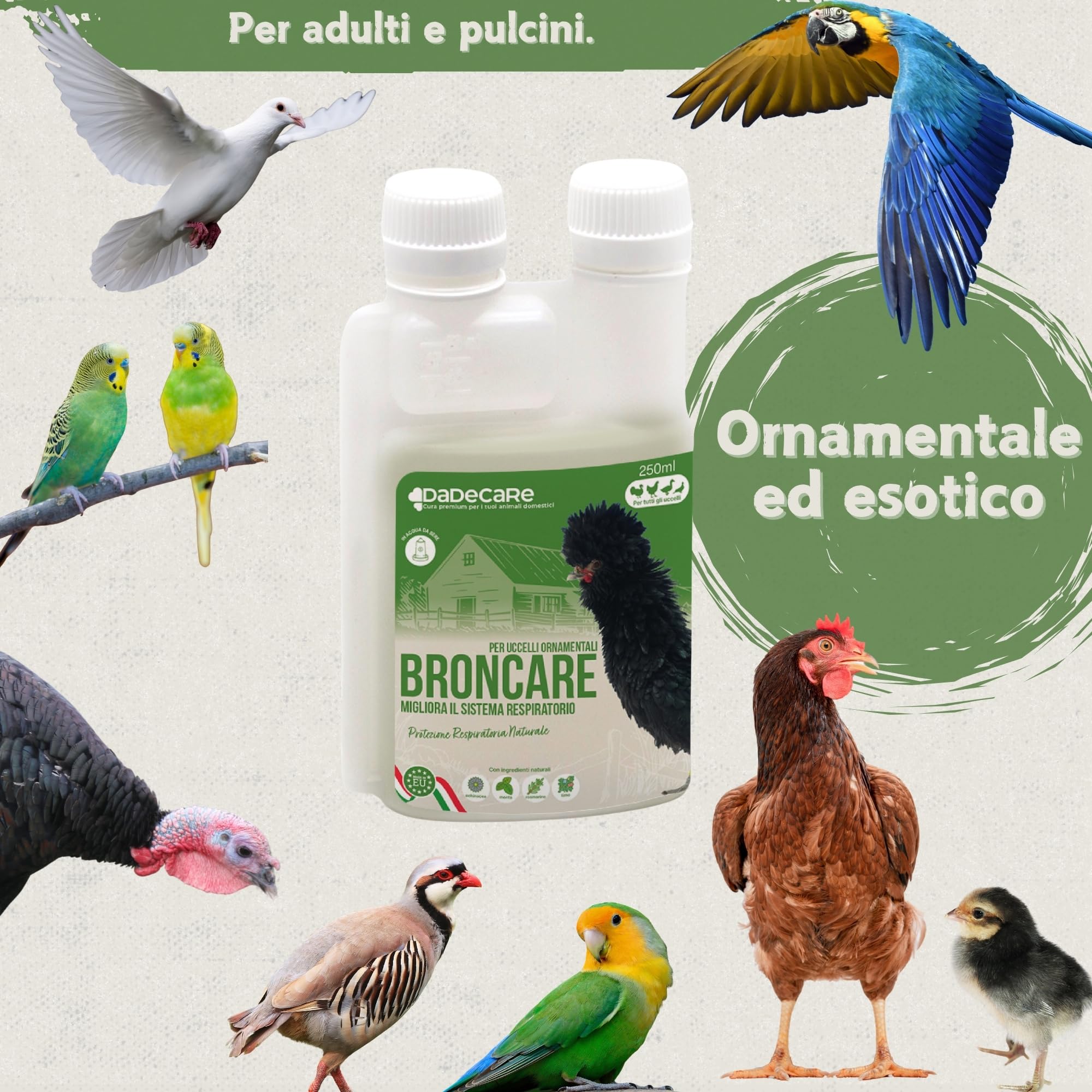 Broncare Respiratorio 250 ml con ADEC - Polli, Uccelli da Cortile ed Esotici - Oli Essenziali, Supporto Immunitario e Respiratorio - Equiseto, Menta, Timo e Rosmarino