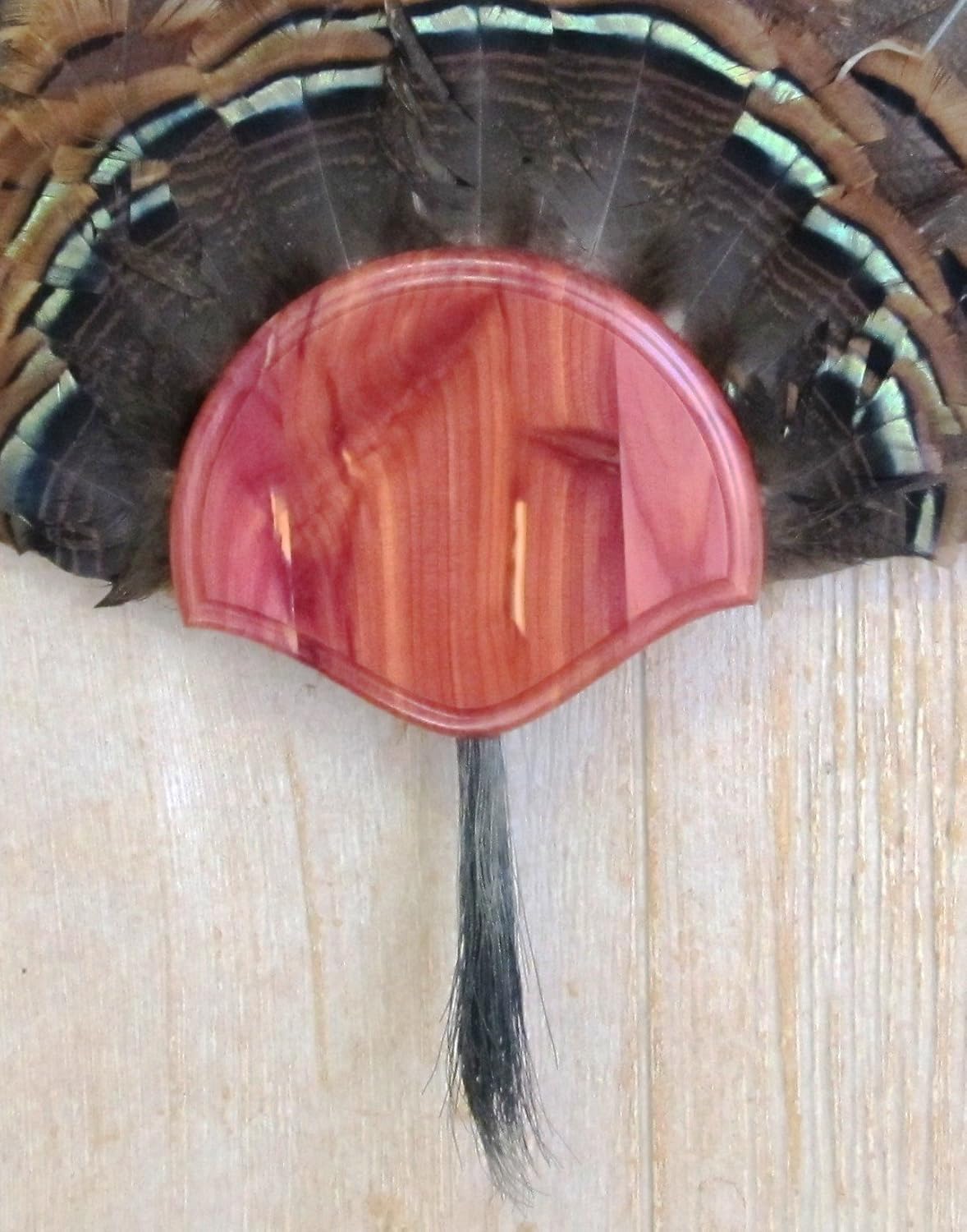 Taxidermists Woodshop The Cedar Turkey Mounting Kit -01