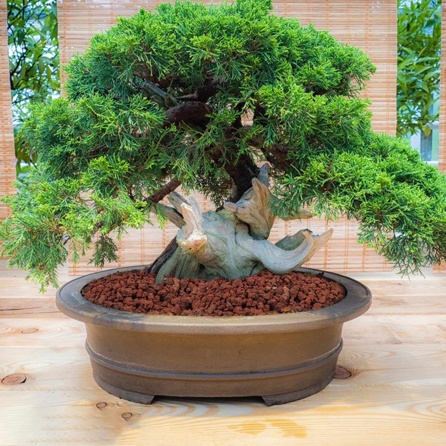 Volcanic Stone Fish Tank Decoration 5pcs 300g Natural Volcanic Rocks for Indoor Plant Soil Aquarium Gravel Succulent Garden Terrarium Landscaping