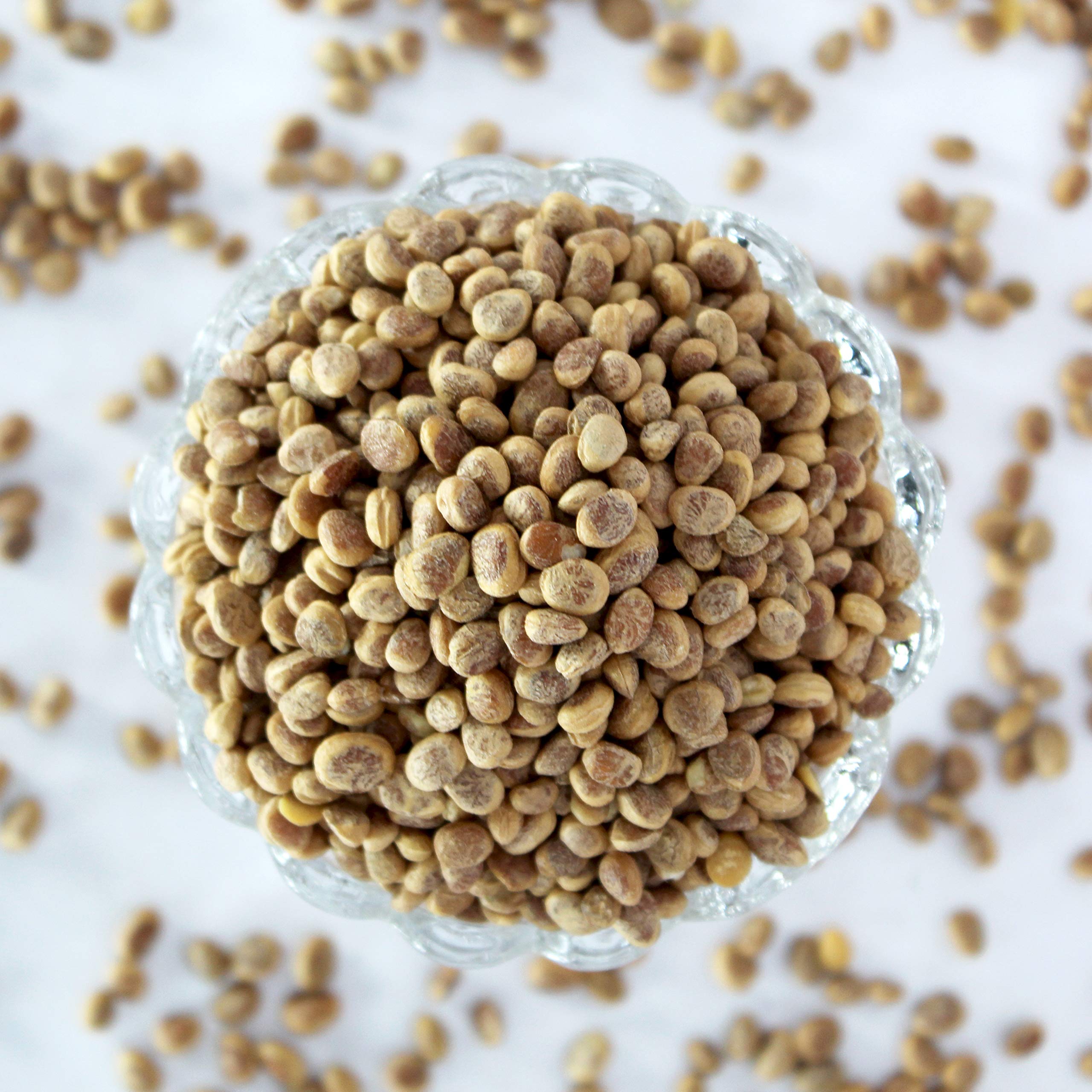 Swiss Naturals Almondette Kernels | Charoli Dry Fruits | Chironji Seeds Organic | Chiraunji Dana, 400g 1