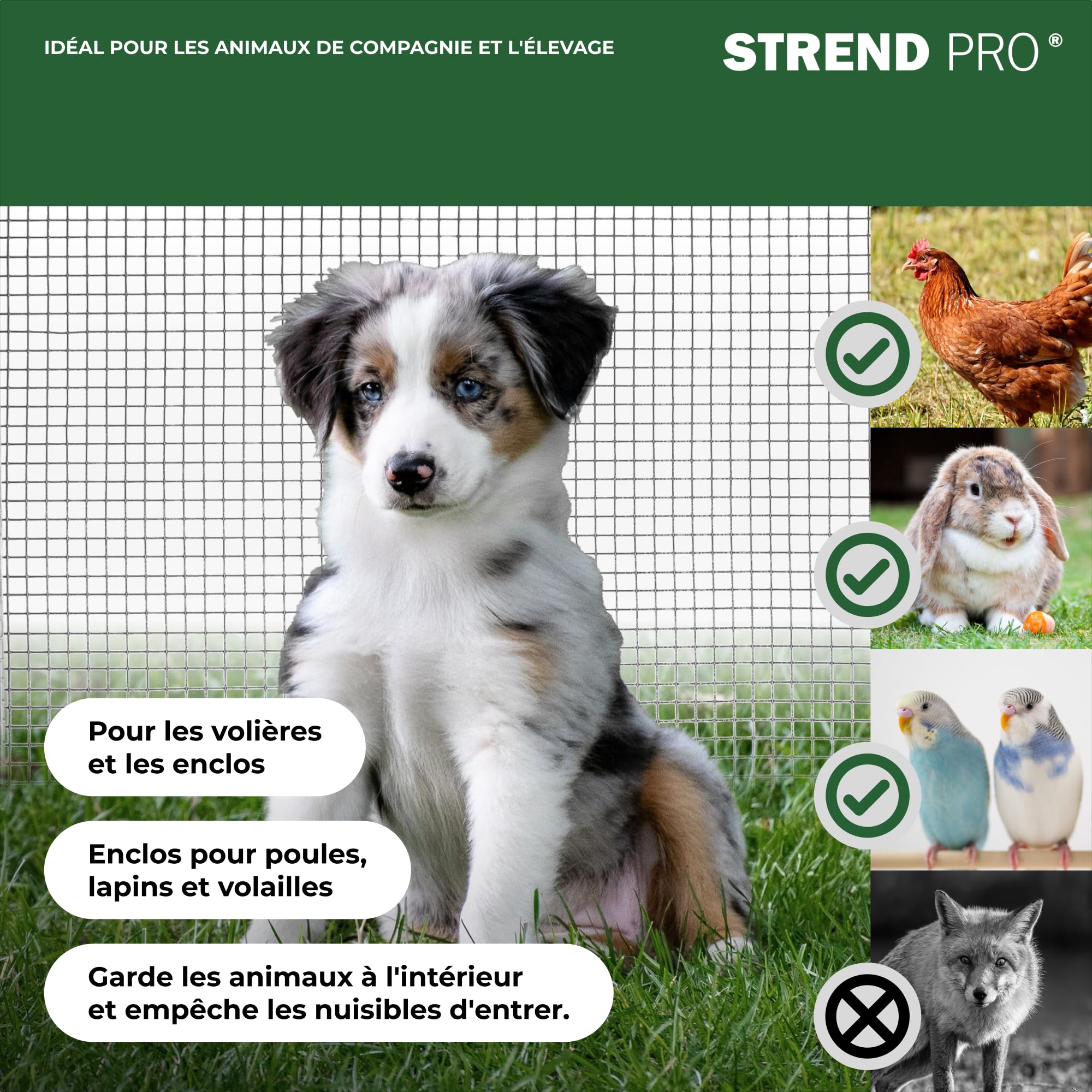 STREND PRO Grillage Métallique | Soudé - Galvanisé | 0.5 m x 10 m | 0,8 mm, 10x 10 mm | Grillage Anti-Campagnols, Lapins, Lièvres, Volières | Grillage Lapins, Poulailler