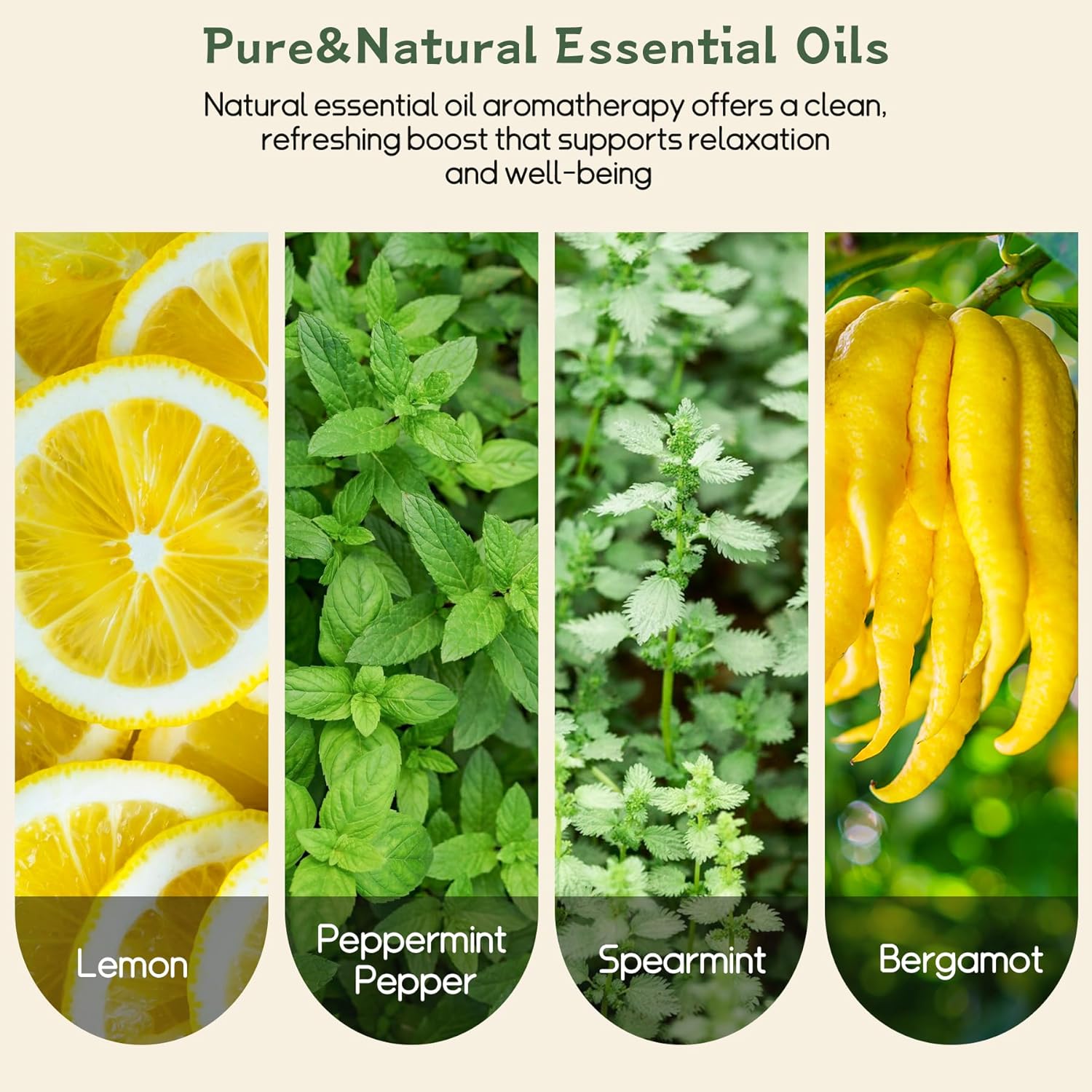Portable Air Flavored Device, Created with Natural Plant Ingredients, Help Build Good Habits, Replaceable Inserts for Good Health