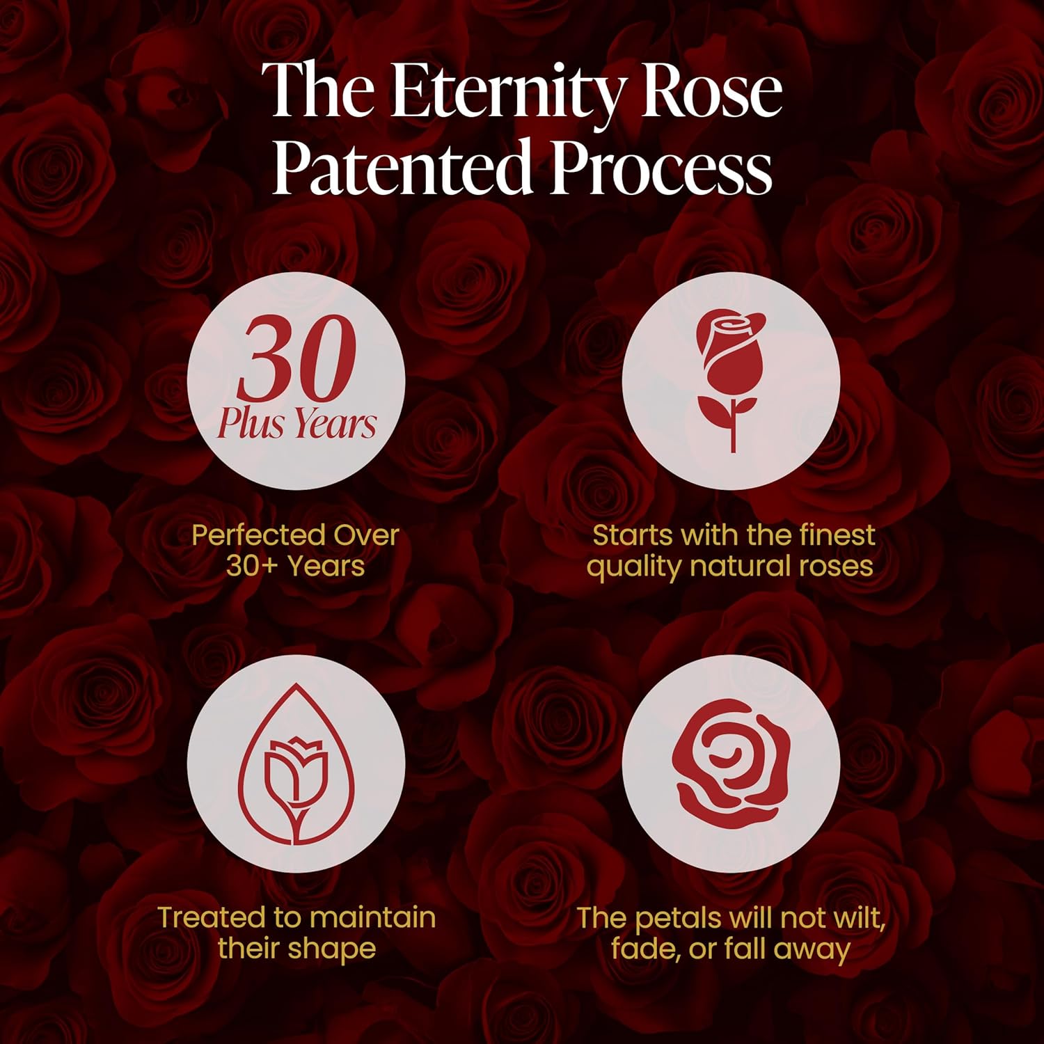 The Eternity Rose 20-Piece Preserved Roses in a Luxury Gift Box – Real Roses in Black Heart Box – A Valentine’s Gift as Everlasting as Your Love - Image 3