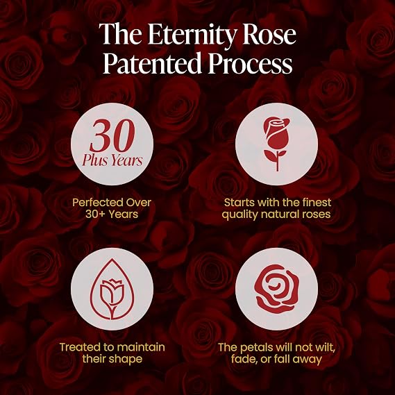 The Eternity Rose 6ピース プリザーブドローズ 豪華なギフトボックス入り – ブラックハートボックスに入った本物のバラ – あなたの愛と同じくらい永遠のバレンタインギフト