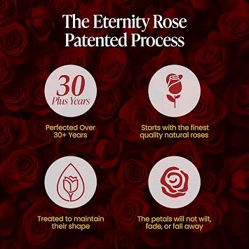 The Eternity Rose 6ピース プリザーブドローズ 豪華なギフトボックス入り – ブラックハートボックスに入った本物のバラ – あなたの愛と同じくらい永遠のバレンタインギフト