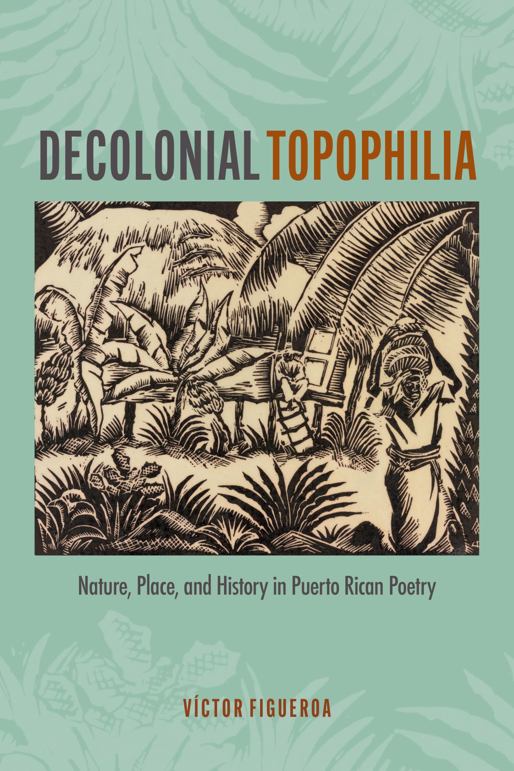 Decolonial Topophilia: Nature, Place, and History in Puerto Rican Poetry (Bucknell Studies in Latin American Literature and Theory)