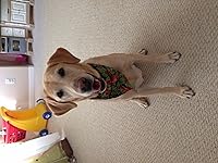 Review Image by Jenny Jenny