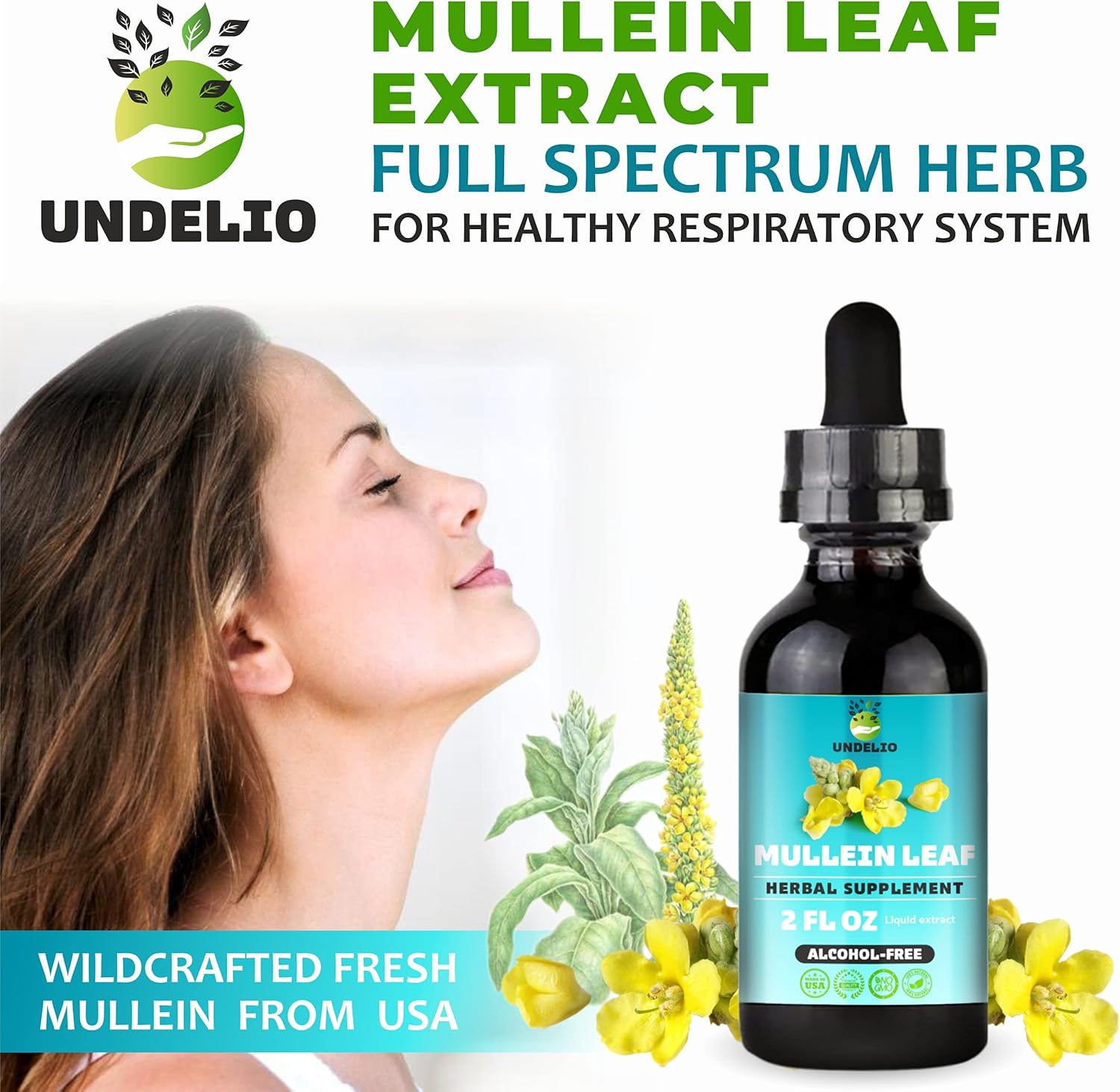 Mullein Leaf Liquid Extract 2 fl.oz. Vegan Supplement Help Respiratory & Digestive Function-Organic, Natural Sleep Aid-Non-GMO Verbascum Thapus Herbal Drops Alcohol and Sugar Free Made by UNDELIO : Health & Household