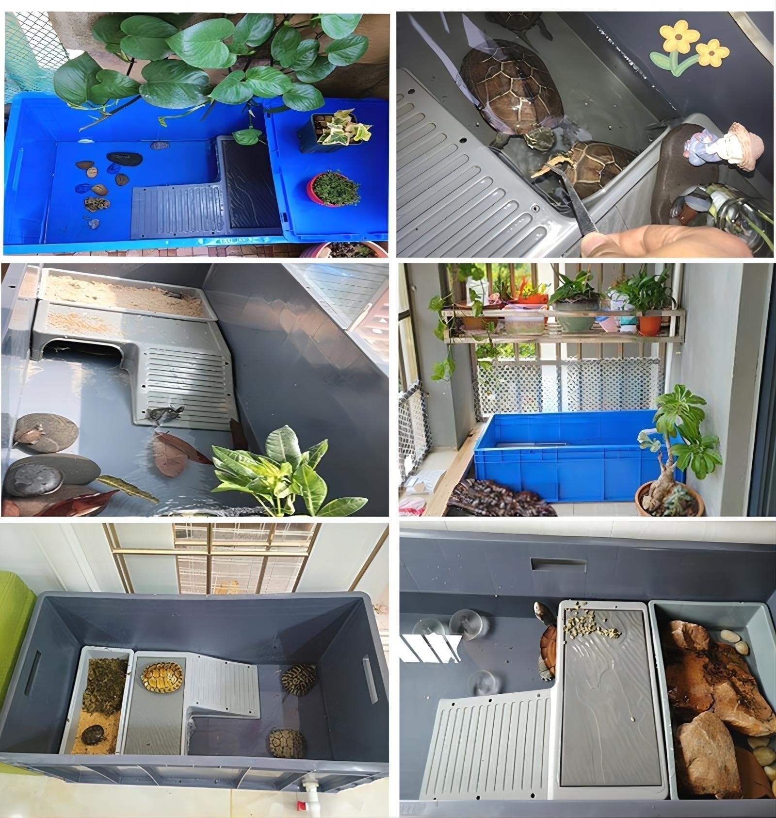 Amazon | 亀 水槽 大きい 亀の水槽 特大亀 飼育ケース 蓋付きカメ 水槽