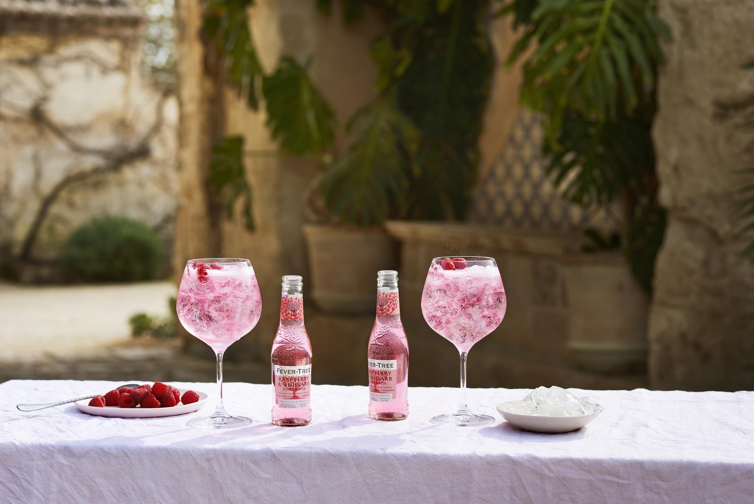 FEVER-TREE - 24 Bouteilles de 200ml - Raspberry et Rhubarb Tonic Water (Framboise-Rhubarbe)