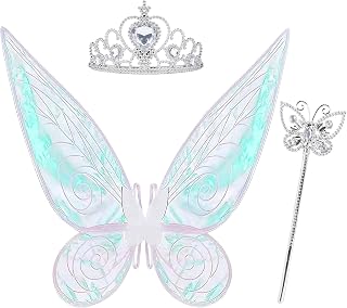 Fairy Wings And Accessories Set