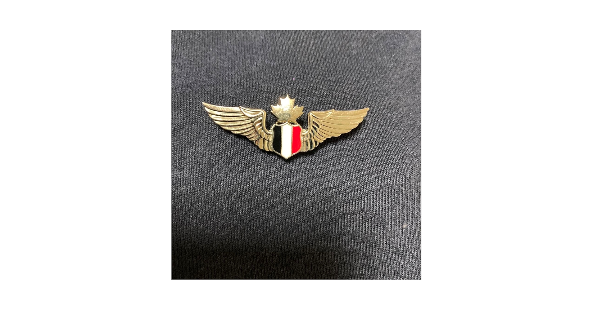 Ｗワイマール/ドイツ軍＊ドイツ義勇軍＊フォン　ディービッチ銀メダル/勲章(実物） Wワイマール/ドイツ軍＊ドイツ義勇軍＊フォン ディービッチ