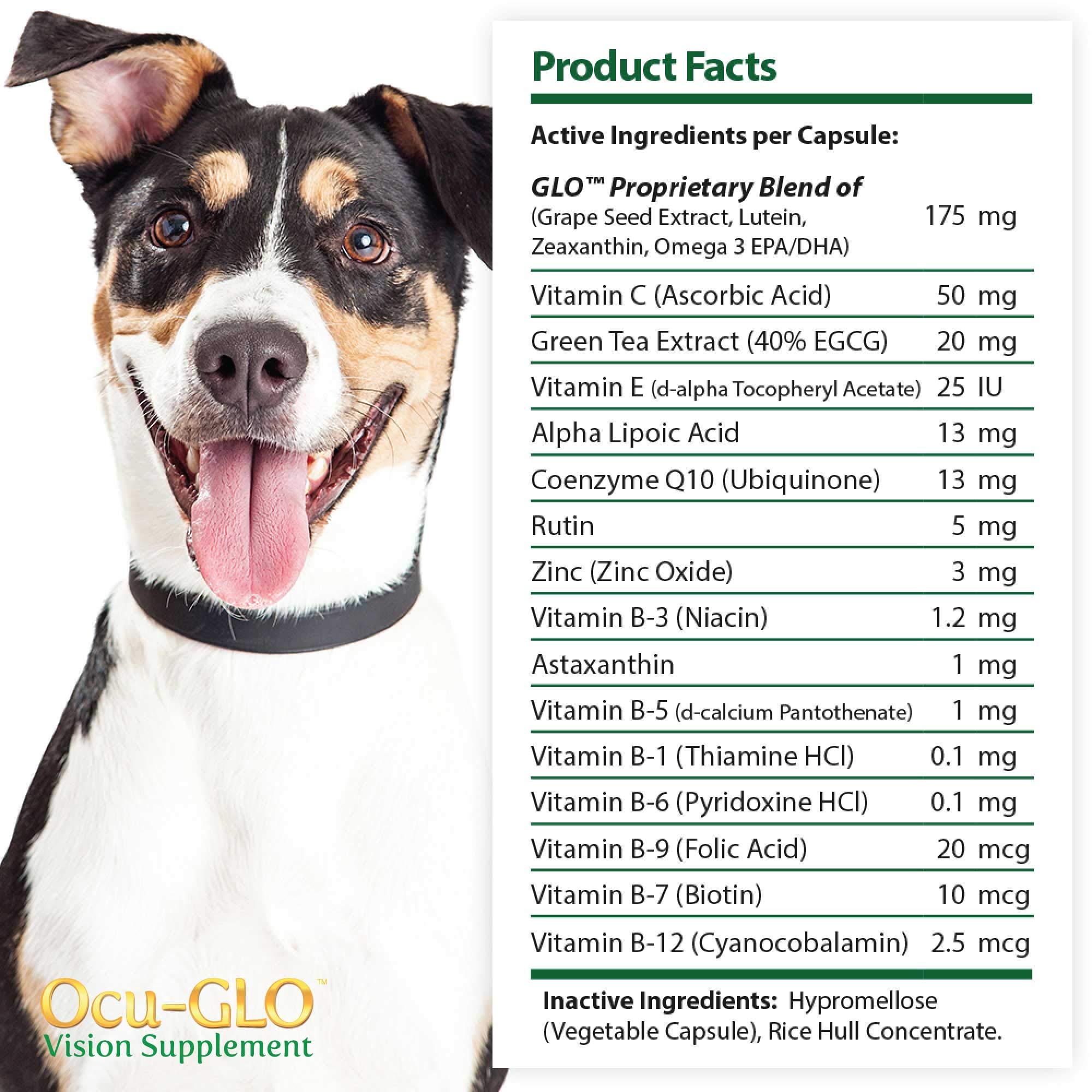 eye supplements for dogs