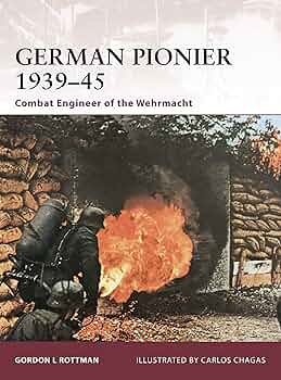 810YgmO2gNL._AC_UF350,