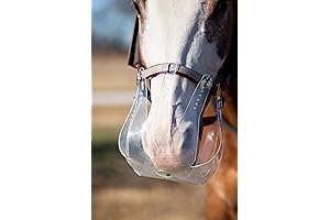Horse Grazing Muzzle; Effective and Humane Grazing Control