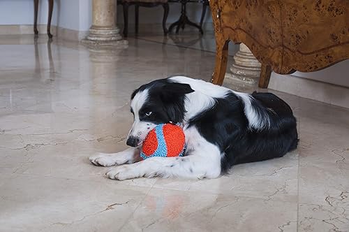 Miniatura 7 de Chuckit! Pelota de búsqueda y juguetes para perros Fumbler para interiores, naranja y azul