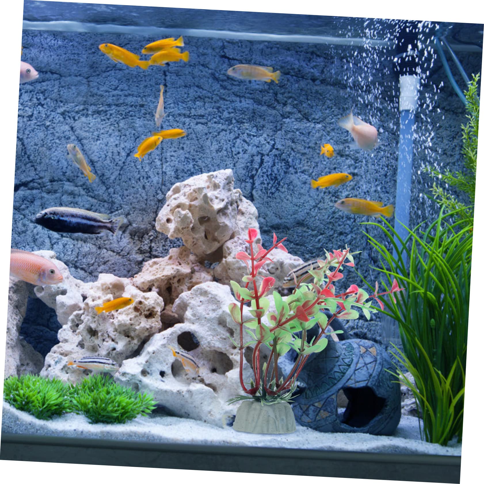Toddmomy 4ensembles Set De Plantes Aquatiques Artificielles Pour Aquarium Décoration De Poissons Végétation Naturelle Accessoires De Pour Réservoirs Eau